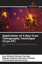 Luis Antonio Jimenez Ávila, Jose Antonio Moreno Serrano, Wagner Roberto Morocho Chamba - Application of X-Ray Cryo-Tomography Technique (Cryo-XT)