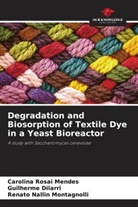 Guilherme Dilarri, Renato Nallin Montagnolli, Carolina Rosai Mendes - Degradation and Biosorption of Textile Dye in a Yeast Bioreactor
