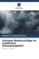 Vinicius A Sikora de Souza, Vinicius A. Sikora de Souza - Extreme Niederschläge im westlichen Amazonasgebiet