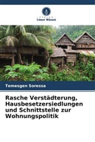 Temesgen Soressa - Rasche Verstädterung, Hausbesetzersiedlungen und Schnittstelle zur Wohnungspolitik