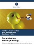S Matos, Salete de Matos, Alan da Silva Melo, Vander Lúcio Sanches - Bedeutsame Steuerplanung