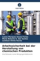 Maria Be G dos Santos, Maria Betania G. Dos Santos, Luana Marques Souza Farias, Lenilson Olinto Rocha - Arbeitssicherheit bei der Herstellung von chemischen Produkten