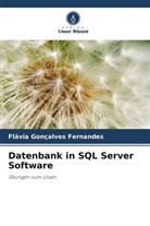 Flávia Gonçalves Fernandes - Datenbank in SQL Server Software