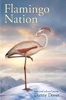 Danny Dover - Flamingo Nation