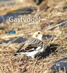Edgar Schonart - Gastvögel der Insel Spiekeroog
