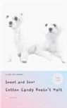 Yeong Hwan Choi - Sweet and Sour Cotton Candy Doesn't Melt