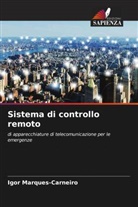 Igor Marques-Carneiro - Sistema di controllo remoto