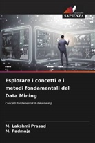 M. Padmaja, M. Lakshmi Prasad - Esplorare i concetti e i metodi fondamentali del Data Mining