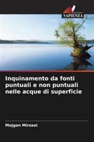 Mojgan Mirzaei - Inquinamento da fonti puntuali e non puntuali nelle acque di superficie