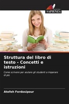 Atefeh Ferdosipour - Struttura del libro di testo - Concetti e istruzioni