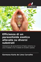 Germana Karla de Lima Carvalho - Efficienza di un parassitoide esotico allevato su diversi substrati