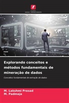 M. Padmaja, M. Lakshmi Prasad - Explorando conceitos e métodos fundamentais de mineração de dados