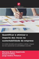 Mariana Bravo Sep&uacute;lveda, Jorge Andres Polanco, Daniel N Wilke - Quantificar e otimizar o impacto dos riscos na sustentabilidade da empresa