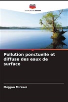 Mojgan Mirzaei - Pollution ponctuelle et diffuse des eaux de surface
