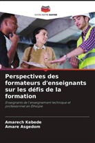 Amare Asgedom, Amarech Kebede - Perspectives des formateurs d'enseignants sur les défis de la formation