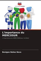 Benigno Núñez Novo - L'importance du MERCOSUR