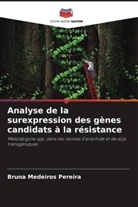 Bruna Medeiros Pereira - Analyse de la surexpression des gènes candidats à la résistance