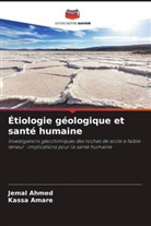 Jemal Ahmed, Kassa Amare - Étiologie géologique et santé humaine