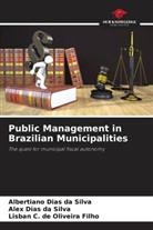 Lisban C. de Oliveira Filho, Albertiano Dias Da Silva, Alex Dias Da Silva - Public Management in Brazilian Municipalities