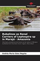 Andréa Maria Góes Negrão - Bubalinos as Renal Carriers of Leptospira sp in Marajó - Amazonia