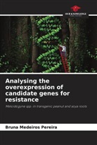 Bruna Medeiros Pereira - Analysing the overexpression of candidate genes for resistance