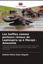 Andréa Maria Góes Negrão - Les buffles comme porteurs rénaux de Leptospira sp à Marajó - Amazonie