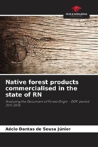 Aécio Dantas de Sousa Júnior - Native forest products commercialised in the state of RN