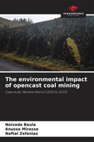 Noivado Beula, Anussa Mirasse, Naftal Zefanias - The environmental impact of opencast coal mining