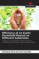 Germana Karla de Lima Carvalho - Efficiency of an Exotic Parasitoid Reared on Different Substrates