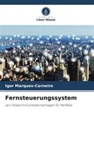 Igor Marques-Carneiro - Fernsteuerungssystem