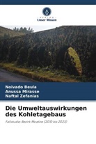 Noivado Beula, Anussa Mirasse, Naftal Zefanias - Die Umweltauswirkungen des Kohletagebaus