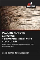 Aécio Dantas de Sousa Júnior - Prodotti forestali autoctoni commercializzati nello stato di RN