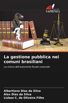 Lisban C. de Oliveira Filho, Albertiano Dias Da Silva, Alex Dias Da Silva - La gestione pubblica nei comuni brasiliani
