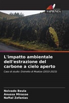 Noivado Beula, Anussa Mirasse, Naftal Zefanias - L'impatto ambientale dell'estrazione del carbone a cielo aperto