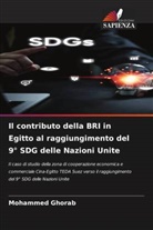 Mohammed Ghorab - Il contributo della BRI in Egitto al raggiungimento del 9° SDG delle Nazioni Unite