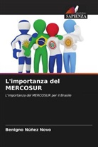 Benigno Núñez Novo - L'importanza del MERCOSUR