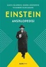Alice Calaprice, Daniel Kennefick, Robert Schulmann - Einstein Ansiklopedisi