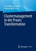 Gerd Meier Zu Köcker, Wolf, Thomas Wolf - Clustermanagement in der Praxis: Transformation