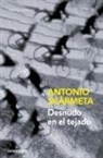 Antonio Skármeta - Desnudo en el tejado