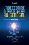 Gora Lo - L¿abécédaire du droit de l¿énergie au Sénégal