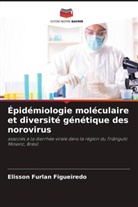 Elisson Furlan Figueiredo - Épidémiologie moléculaire et diversité génétique des norovirus