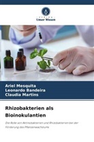 Leonardo Bandeira, Claudi Martins, Claudia Martins, Ariel Mesquita - Rhizobakterien als Bioinokulantien