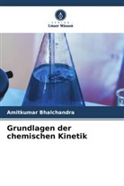 Amitkumar Bhalchandra - Grundlagen der chemischen Kinetik