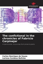 Larissa Cardoso Beltrão, Carlos Henrique de Souza - The confictional in the chronicles of Fabrício Carpinejar