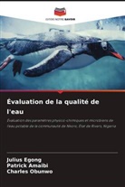 Patrick Amaibi, Julius Egong, Charles Obunwo - Évaluation de la qualité de l'eau