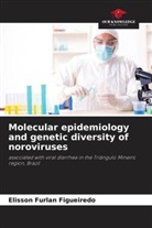 Elisson Furlan Figueiredo - Molecular epidemiology and genetic diversity of noroviruses