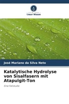 José Mariano da Silva Neto - Katalytische Hydrolyse von Sisalfasern mit Atapulgit-Ton