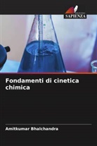 Amitkumar Bhalchandra - Fondamenti di cinetica chimica