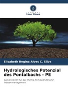Elisabeth Regina Alves C Silva, Elisabeth Regina Alves C. Silva - Hydrologisches Potenzial des Pontalbachs - PE