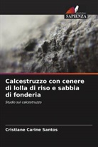 Cristiane Carine Santos - Calcestruzzo con cenere di lolla di riso e sabbia di fonderia